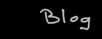 The Blog